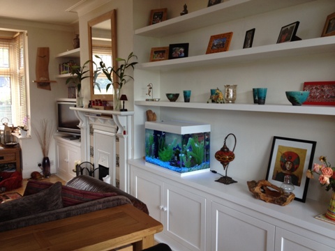 custom house shelves